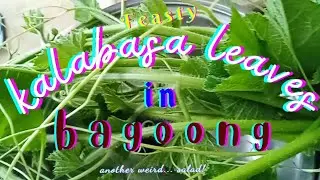 Feasty Kalabasa Leaves In Bagoong  |  #salad #food #recipe #foodie #foodlover #farming #adventure