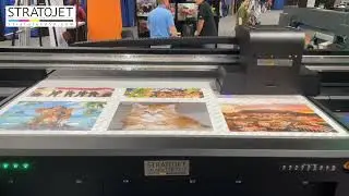 SHARK EFB 2512 Flatbed Printer