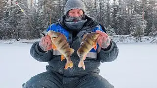 Perch on the Etypur River on a frosty day.