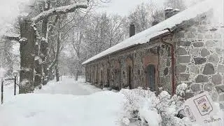Псковская область, Новоржевский район, деревня Алтун