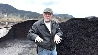 Mulch - what to use for landscaping and flower beds (and how to apply)