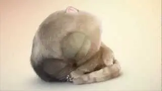 Catzilla in Cartoons