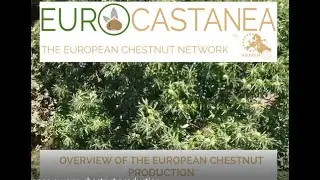 Overview European Chestnut Production