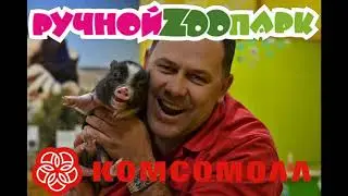 Ручной зоопарк Волгоград