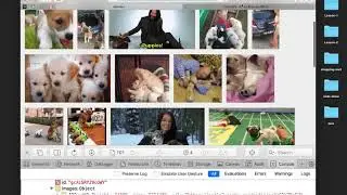 01 Giphy search getting started
