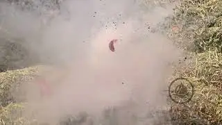 An Explosive Red Pepper