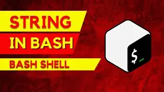 Introduction to Strings in Bash Scripting | Strings - Bash Scripting