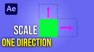 After Effects Scale Shapes in One Direction Beginner Guide