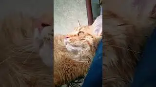 Самая большая ошибка