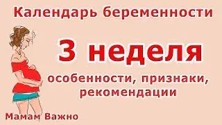 3 неделя беременности: особенности, признаки, рекомендации