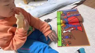 27개월 아기 스스로 하는 책읽기, 독서