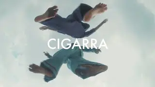 ANAVITÓRIA - Cigarra (visualizer)