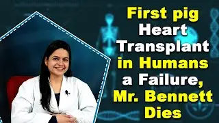 First pig heart transplant in humans a failure, Mr Bennett dies