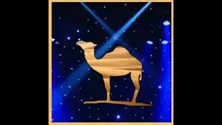 Another Night 1976 Camel, Janus Records J 262