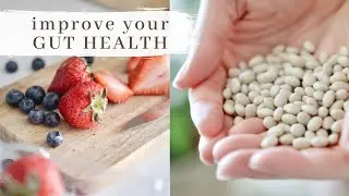 7 Ways to Improve GUT HEALTH