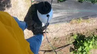 Using 30% Vinegar As Weed Killer, Be Careful!