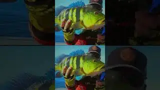 Muita resenha e pesca no Pesqueiro Padilha 🔥🎣