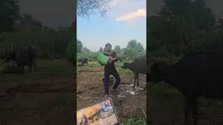 Bgmi clutch funny short #playgalaxy