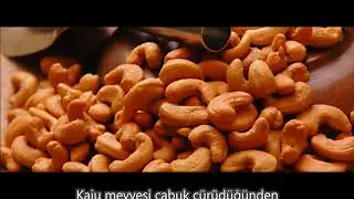 KAJU ASLINDA ÇEREZ DEĞİL      YouTube