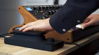 Touché & Moog Sub 37 : 5th In Line
