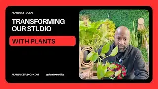 Transforming Our Studio with These Plant! 🌱