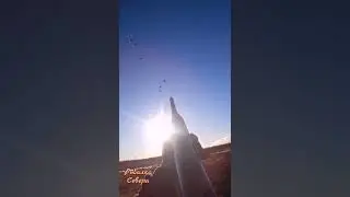 #ОХОТА НА ГУСЯ#КРАСИВЫЙ НАЛЕТ#ТРИ ГУСЯ#СУПЕР#