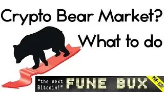 February 2018 Crypto Dip | Strategies for a Bearish Market