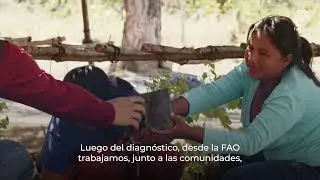Protección de mujeres indígenas en Venezuela a través de la creación de medios de vida