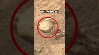 Mars Rover Perseverance SOL 1243 | quicksolutions-data