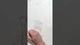 How To Draw The Hand, Part 1 (Anatomy Quick Tips)