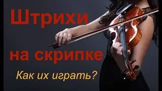 How to play STROKES? I'll explain in detail: Detaches, Martles, Staccato, Legato, Spiccato.