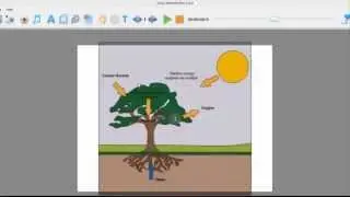 Easy Sketch Pro Schools Edition Demo