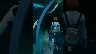 Океанариум 🐬 