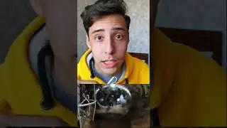 Как Создавался Звук Би Би 8 Из Звёздных Воин 
