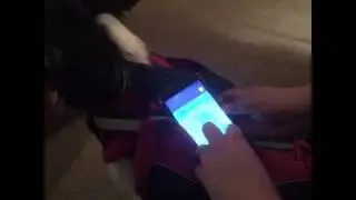 Pokemon Go Eggs Got Me Like