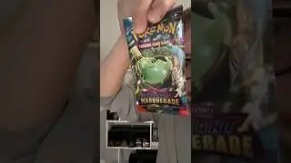 Gotta Catch Them All! #pokemon #pokemontcg #shorts
