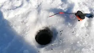 Рыбалка на сорогу таёжное озеро / Fishing on soroga taiga lake