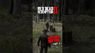 Busting Myths In RDR2 