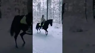 einf schon 100 abos welche Videos wünscht ihr euch
