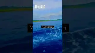 laut luas#mentawai#sikakap
