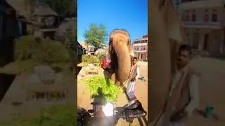 #jai Ganesh Jai Ganesh,,,@ deva,🙏🙏🙏🙏🔥🔥#trendingshorts  #viralvideo