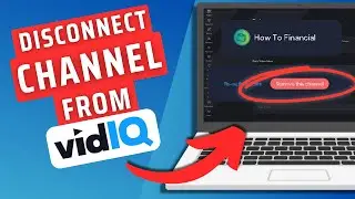 How To Disconnect (Remove) A Channel From VidIQ