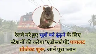 रेलवे मरे हुए चूहों को ढूंढ़ने के लिए स्टेशनों की करेगा 'एंडोस्कोपी', पायलट प्रोजेक्ट शुरू
