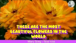 These Are The Most Beautiful Flowers In The World