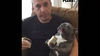 My French bulldog any enjoying breakfast part two coming