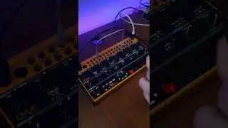 First time with a BEHRINGER CRAVE!! Semi modular synth