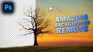 Quick and Easy Tree Background Removal in Photoshop