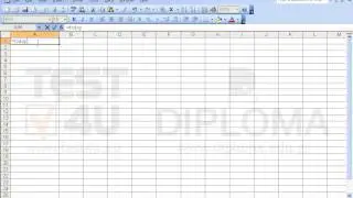 Enter a function in cell A1 to display the current date.