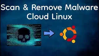 I will scan and remove malware Cloud Ubuntu/Linux Server
