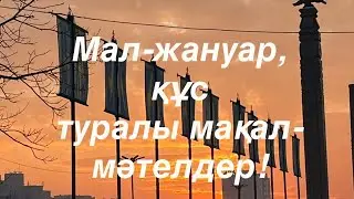 Мал-жанур, құс туралы мақал-мәтелдер!